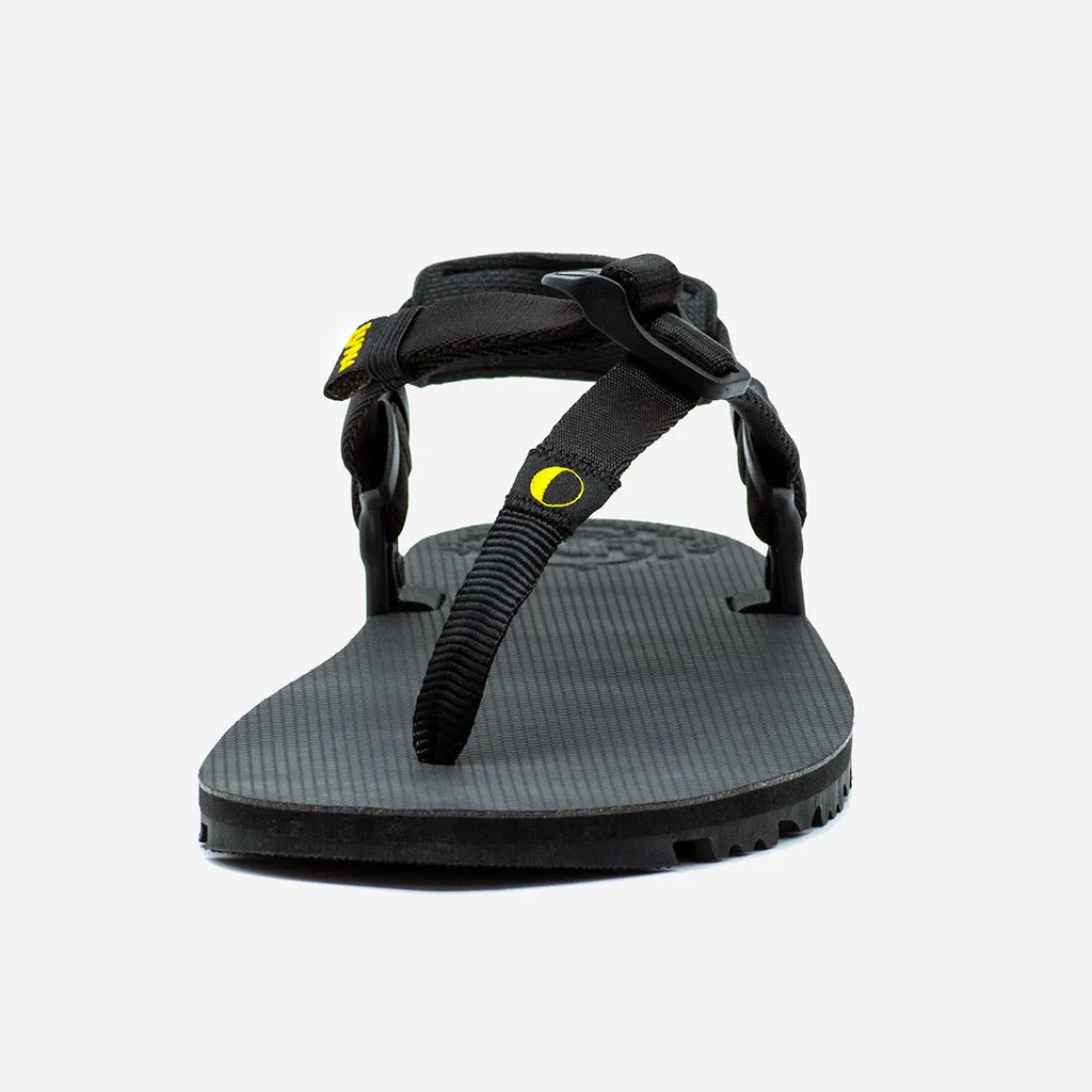 Oso Flaco Winged Edition - Black