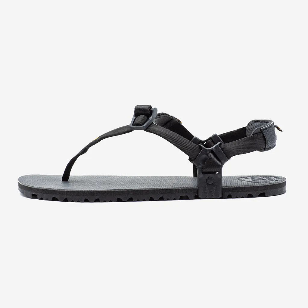 Oso Flaco Winged Edition - Black