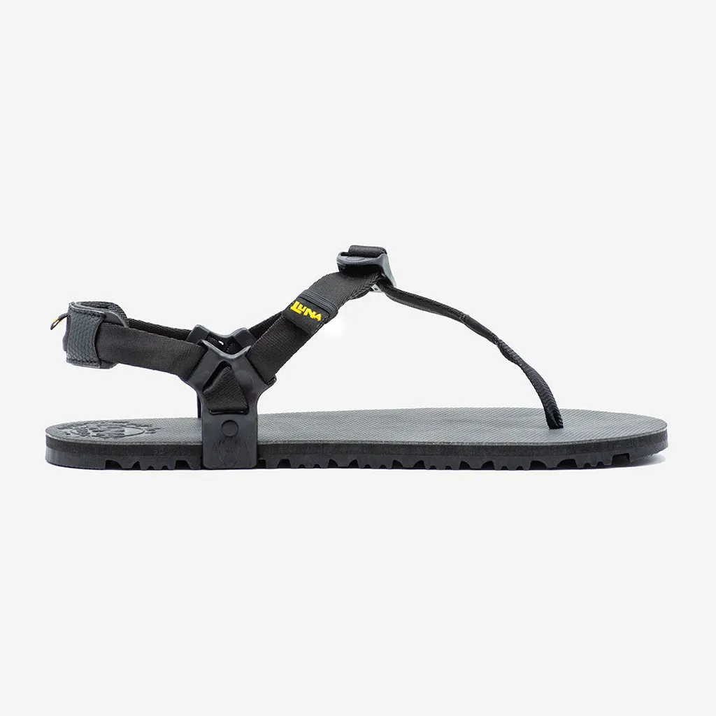 Oso Flaco Winged Edition - Black